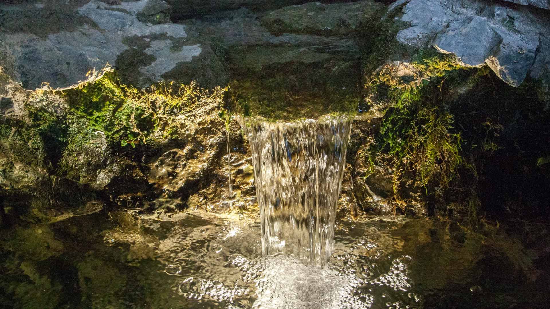 the water of lourdes