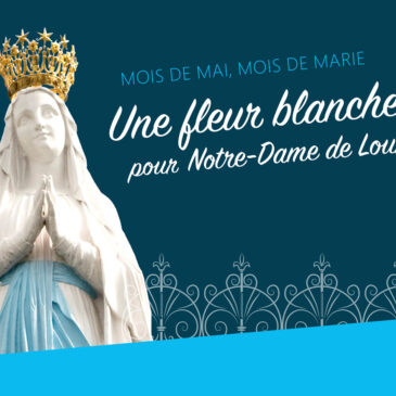 Une fleur blanche pour Notre-Dame de Lourdes
