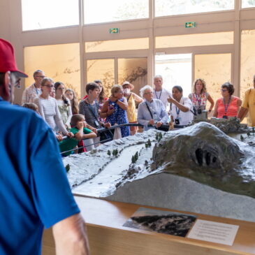 To be a pilgrim for a day: the activities offered by the Sanctuary of Our Lady of Lourdes