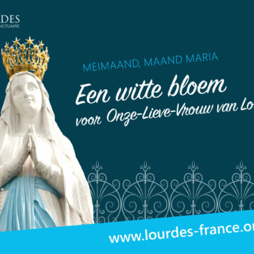 De Maagd Maria in Lourdes in de meimaand.