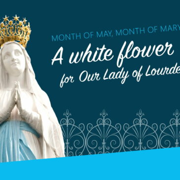 The Virgin Mary in Lourdes this May