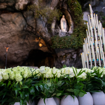 8 de diciembre – Rosas para Nuestra Señora de Lourdes