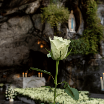 8 de diciembre: ofrenda floral a la Inmaculada Concepción en Lourdes