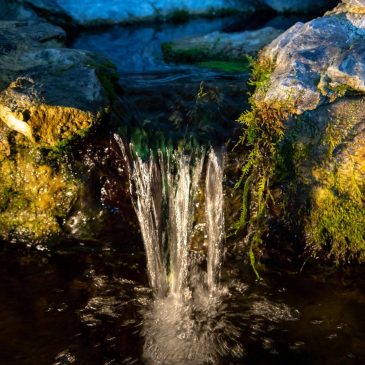 Lourdes and the Baptism of the Lord