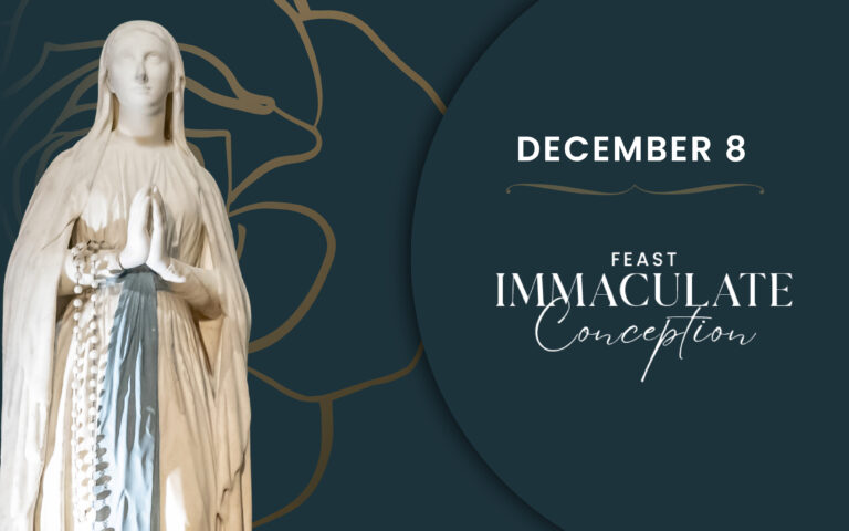 visuels-8-decembre_actu-en