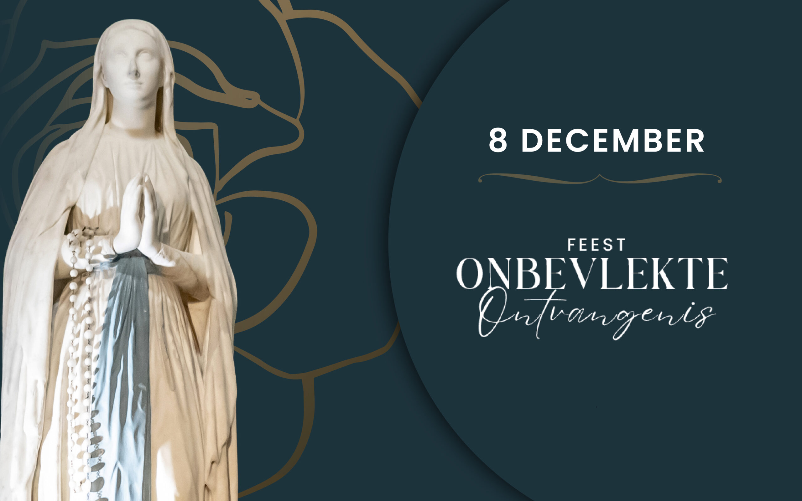 visuels-8-decembre_actu-nl