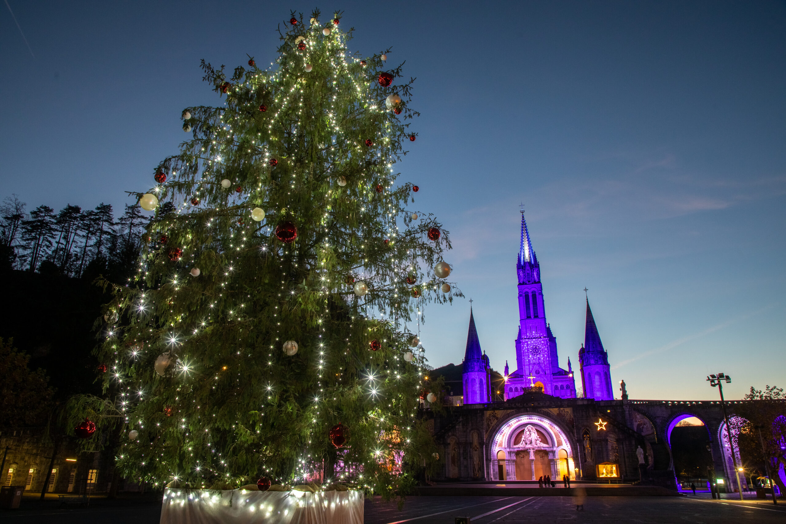 25_illumination arbre Noel-10