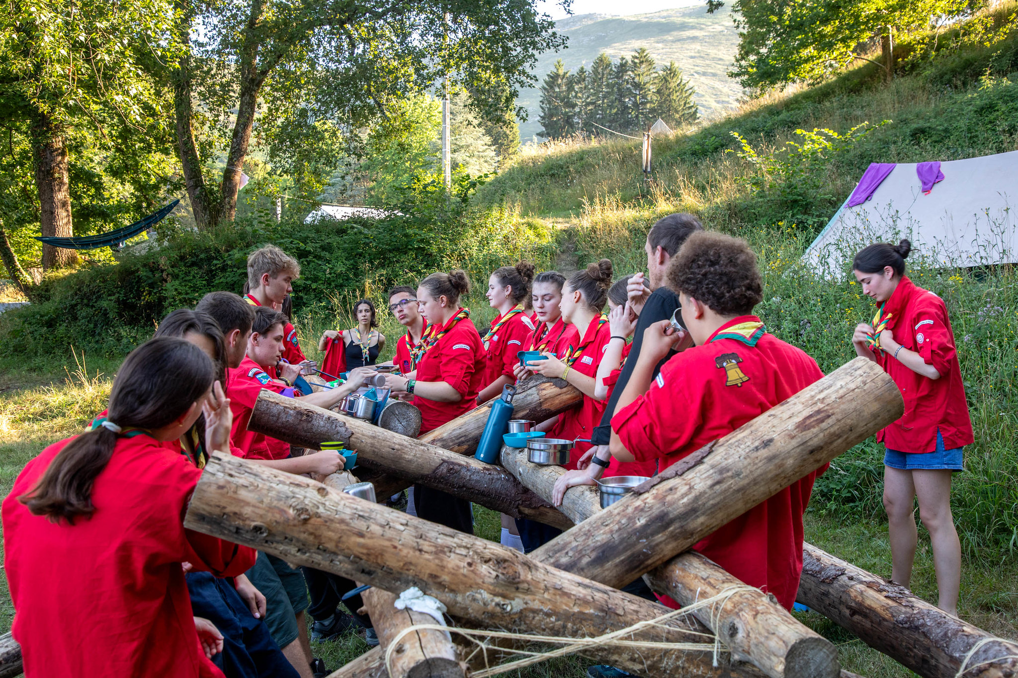 des scouts cooperant et travaillant ensemble